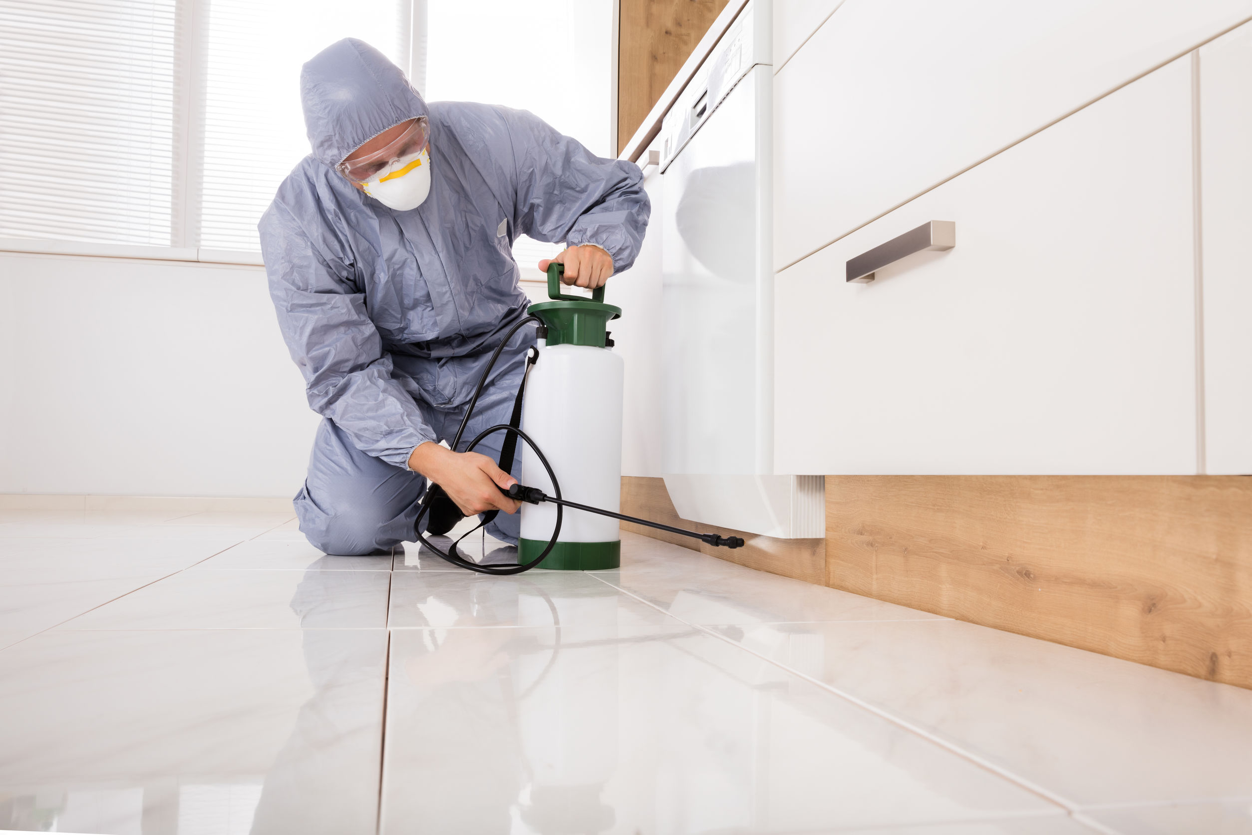 Health Guide: General Pest Control ServiceAntipest Blog