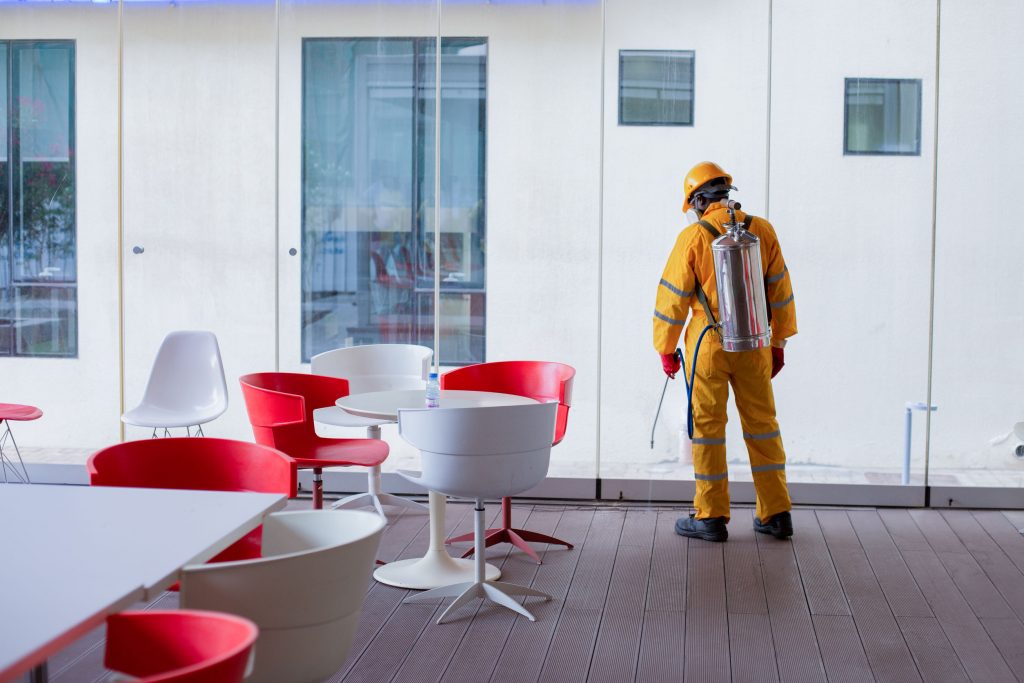 The Importance of Pest Control for Offices That You Need To Know