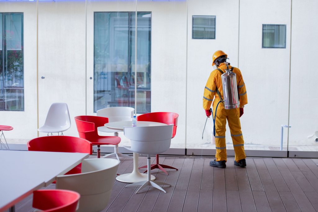 The Importance of Pest Control for Offices That You Need To Know