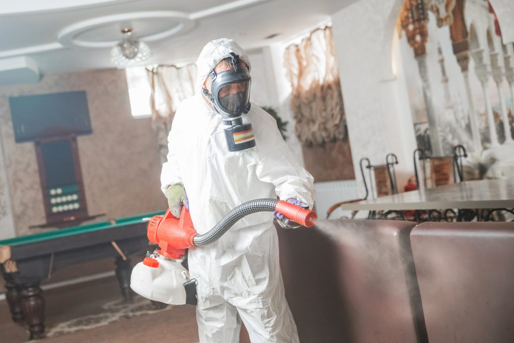 Why You Should Hire Pest Control Experts